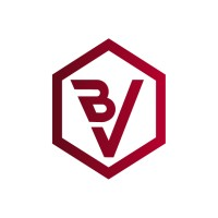 Blockchain Valley logo